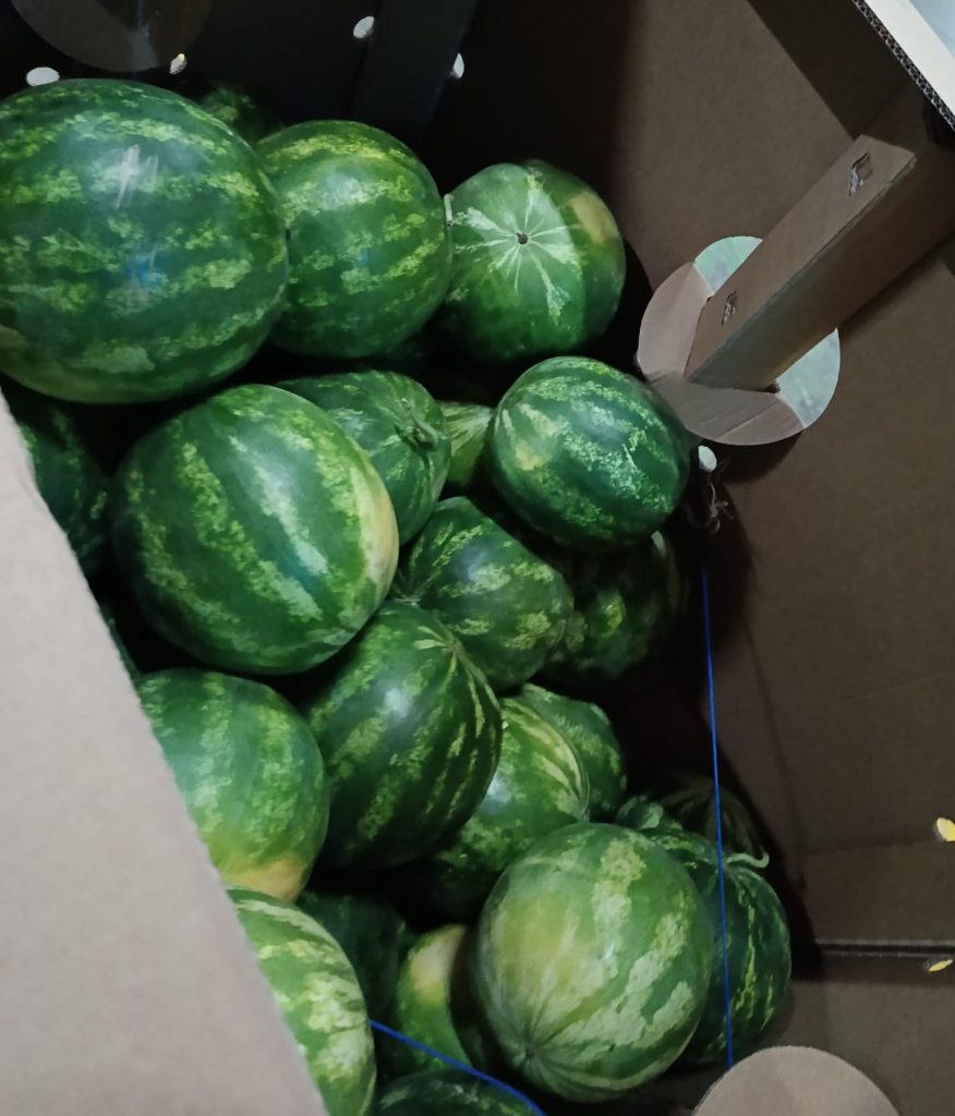 Ongoing watermelon transport from Turkey to Poland with professional refrigerated logistics solutions by BBN Transport.