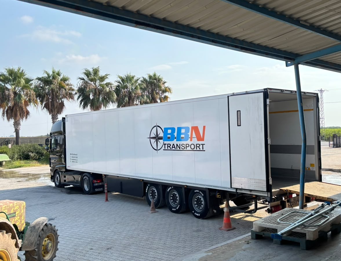 Successful Turkey to Italy fresh vegetable shipment with professional Italy transport and refrigerated logistics solutions by BBN Transport