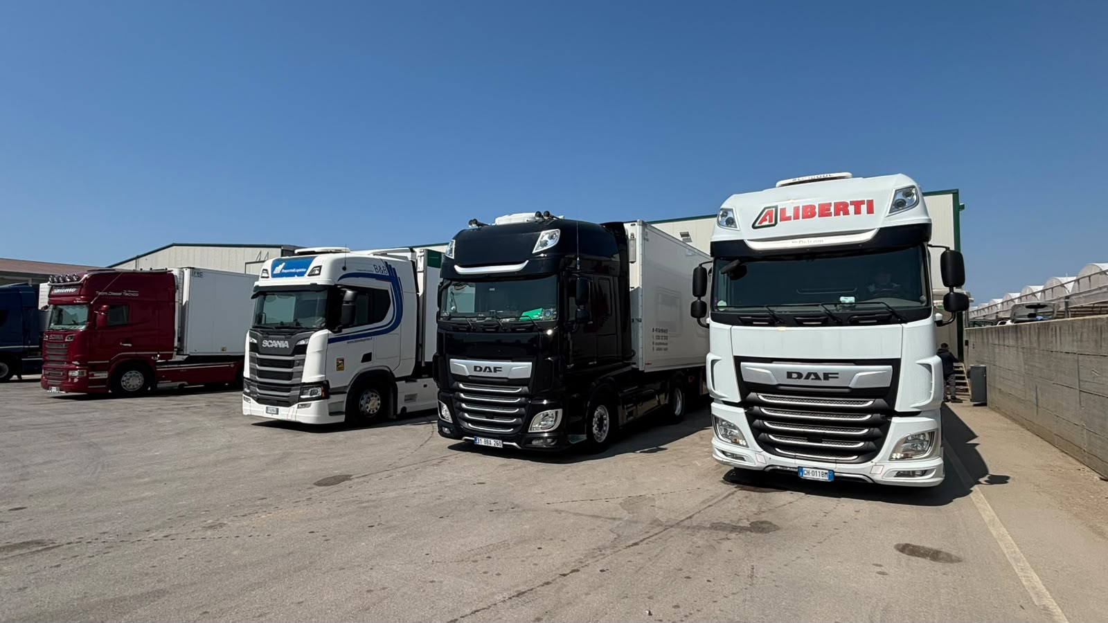 Successful fresh vegetable shipment from Turkey to Italy transport with professional refrigerated transport and international logistics solutions by BBN Transport.